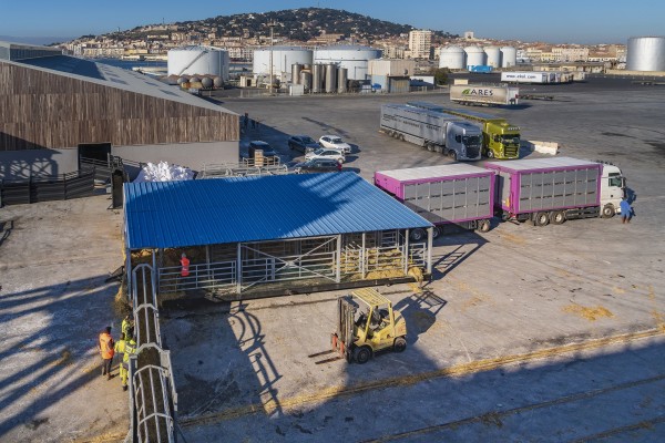 20X30-SETE-02-19-077