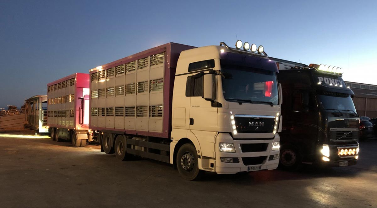 Transport routier 2 - La Métairie du Rouergue